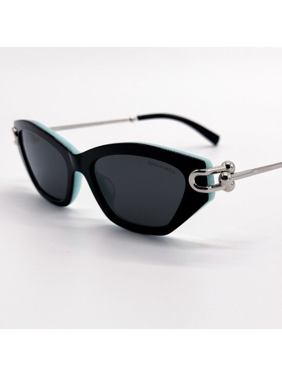 New Tiffany & Co TF4231U 8055/S4 Black Cat Eye Women Sunglasses main image 6